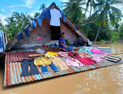 Banjir Kepung 3 Kecamatan di Sumsel, 8.227 Jiwa 2.618 Rumah Terdampak