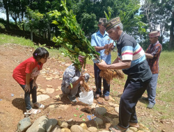 1000 Pohon Jeruk Madu Tanam di Roe & Culu, Romo Beny : Rawat Baik-Baik