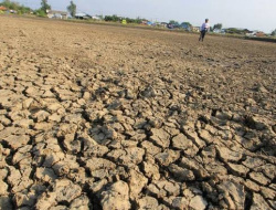 La Nina Berakhir, Musim Kemarau Datang Lebih Awal