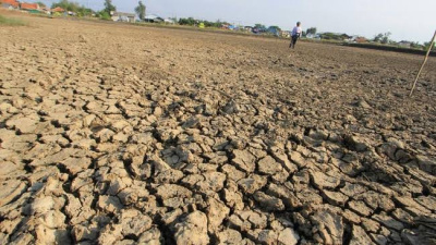 La Nina Berakhir, Musim Kemarau Datang Lebih Awal