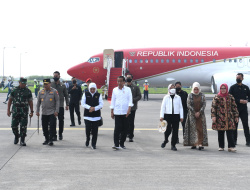 Presiden Jokowi Tanam Padi di Tuban