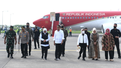 Presiden Jokowi Tanam Padi di Tuban