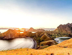 Langkah Tegas Pemerintah Terkait Ulah PT. Flobamor untuk Selamatkan Taman Nasional Komodo