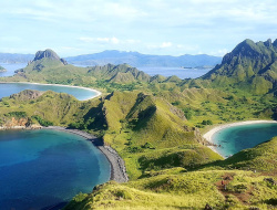 Aneka Hidangan Laut Jadi Suguhan Utama Tamu KTT ASEAN