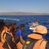 Nelayan Hilang Saat Mancing Ikan Belum Ditemukan