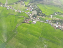 Kementan Bentuk Gugus Tugas Hadapi El Nino