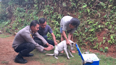 Polisi Kawal Vaksinasi Hewan Penular Rabies di Kecamatan Lembor