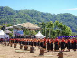 Lembah Colol, Surganya Kopi Dunia