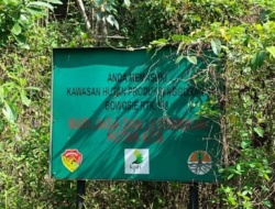 KPH Manggarai Barat Tangkap Dua Perambah Hutan di Desa Nggorang