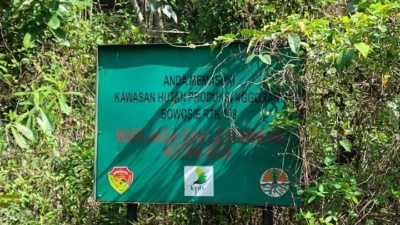 KPH Manggarai Barat Tangkap Dua Perambah Hutan di Desa Nggorang