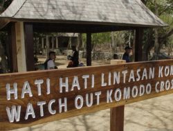 Harapan Pelaku Pariwisata di Labuan Bajo Agar Pelayanan Wisata dan Konservasi TNK Perlu Ditingkatkan