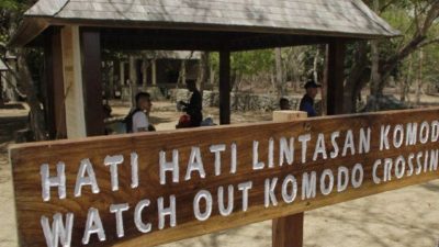 Harapan Pelaku Pariwisata di Labuan Bajo Agar Pelayanan Wisata dan Konservasi TNK Perlu Ditingkatkan