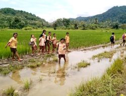 Ketersediaan Infrastruktur Jalan, Dambaan Masyarakat Desa Romang Kini dan Nanti (1)