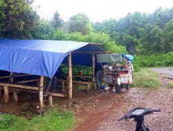 Tenda Biru Tukang Bakso dan Sensasi Kabut Putih Golo Lusang