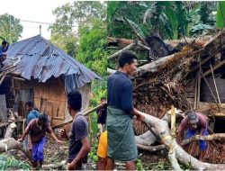 Rumah Warga Desa Golo Manting Ambruk Diterpa Angin Kencang