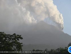 Aktivitas Vulkanik Gunung Api Lewotobi Meningkat, Ribuan Warga Mengungsi