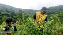 Keren, Geliat Petani Milenial di Desa Wisata Seribu Air Terjun Wae Lolos