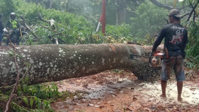 Longsor,  Arus Lalu Lintas Jalan Bambor- Werang Lumpuh, Kini Pulih Kembali