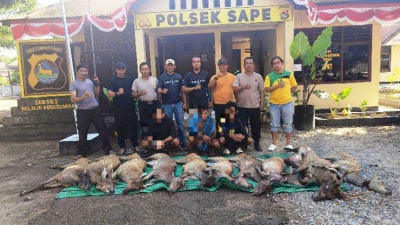 Polsek Sape dan TNI Berhasil Bongkar Penyelundupan 10 Rusa Liar dari Taman Nasional Komodo