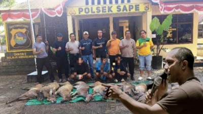 Penyelundupan Rusa di TNK Terbongkar Pihak Lain, Doni Parera Soroti Lemahnya Pengawasan