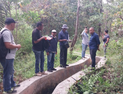 Inspektorat Manggarai Barat Audit Proyek yang Dikerjakan Adik Kandung Bupati Mabar