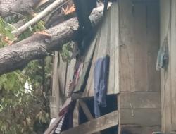 Hujan Deras dan Angin Kencang, Rumah Warga di Gerak, Tanjung Boleng Rusak Parah Tertimpa Pohon