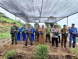 Lanal Labuan Bajo Hadiri Vicon Program Ketahanan Pangan TNI Angkatan Laut