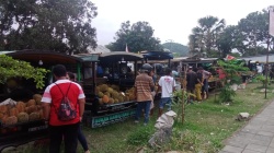 Satpol PP Manggarai Barat Tertibkan Penjual Durian di Labuan Bajo, Atur Lokasi Jualan yang Lebih Rapi