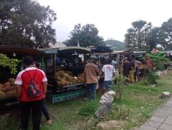 Satpol PP Manggarai Barat Tertibkan Penjual Durian di Labuan Bajo, Atur Lokasi Jualan yang Lebih Rapi
