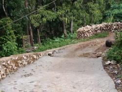 Dugaan Korupsi Dana Desa di Bere, LMI NTT Desak Polres Manggarai Bertindak Tegas