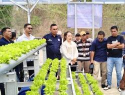 Pemdes Batu Cermin Luncurkan Green House Hidroponik, Dorong Ketahanan Pangan dan Ekonomi Desa
