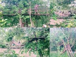 Jembatan Kehidupan di Ujung Keterbatasan