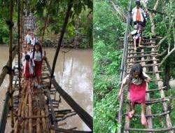 Jembatan Bambu, Taruhan Nyawa Anak-anak Kampung Jengok Demi Cita-cita
