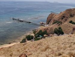 Aktifitas Tambang Emas Liar di Pulau Sebayur Luput dari Pantauan APH, Diduga Dibekingi Oknum Polisi