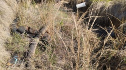 Aktivitas Tambang Emas di Sebayur, Anggota DPRD Manggarai Barat Desak Aparat Ungkap Bekingan Oknum