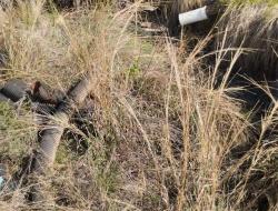 Aktivitas Tambang Emas di Sebayur, Anggota DPRD Manggarai Barat Desak Aparat Ungkap Bekingan Oknum