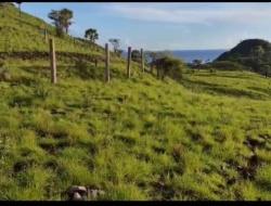 Laporan Pater Marsel Agot Gugur, Penyelidikan Resmi Dihentikan Polres Mabar Terkait Sengketa Tanah di Labuan Bajo