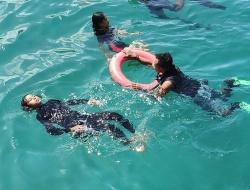 P3KOM Got Talent: Cetak Penyelam Profesional, Perkuat Keselamatan Wisata Bahari Labuan Bajo