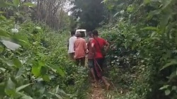 Insiden di Jalur Trekking Cunca Jami: Urgensi Keselamatan dan Peran Pemandu Lokal di Destinasi Wisata