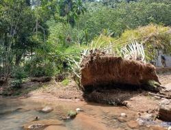 Cuaca Ekstrem Terjang Cunca Rami, Homestay Rusak Parah dan Sungai Tergerus Banjir