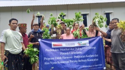 Menanam Harmoni di Tanah Mejer:  Ketika Porang Menjadi Jembatan Iman
