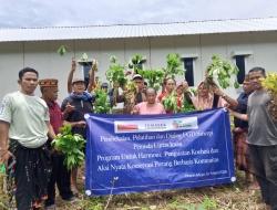 Menanam Harmoni di Tanah Mejer:  Ketika Porang Menjadi Jembatan Iman