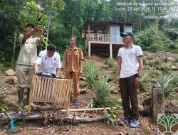 BBKSDA NTT Lepaskan 5 Ekor Burung dari Sangkar Perburuan Liar ke Habitat Aslinya