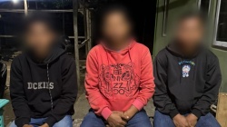 Polisi Amankan Tiga Warga Benteng Ndope Terkait Pembakaran Burung Hantu Hidup-Hidup, Aksi Viral di Media Sosial