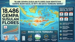 18.486 Gempa Susulan Flores dan Rentetan Gempa Bumi Kecil di NTT: Ini Data Terbaru BMKG