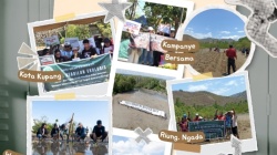 Krisis Ekologi dan Perampasan Ruang Hidup, WALHI NTT Soroti Dampak Berlapis terhadap Perempuan